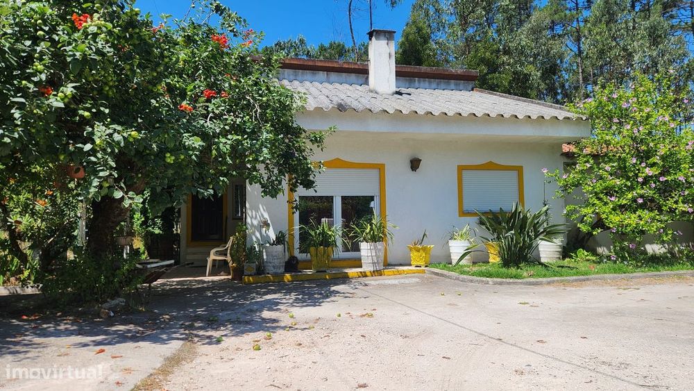 NEGOCIÁVEL-Moradia T3+anexos, térra e isolada,zona calma e tranquila.