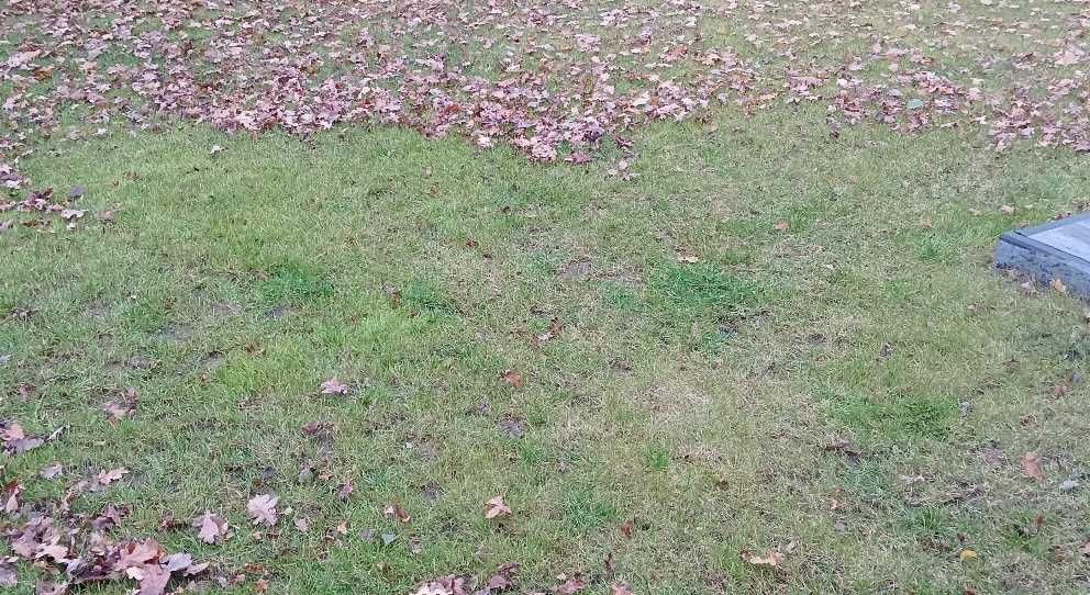 Nowa Dmuchawa Do Liści Ogrodowa Odkurzacz do Kurzu z Regulacją 3200W