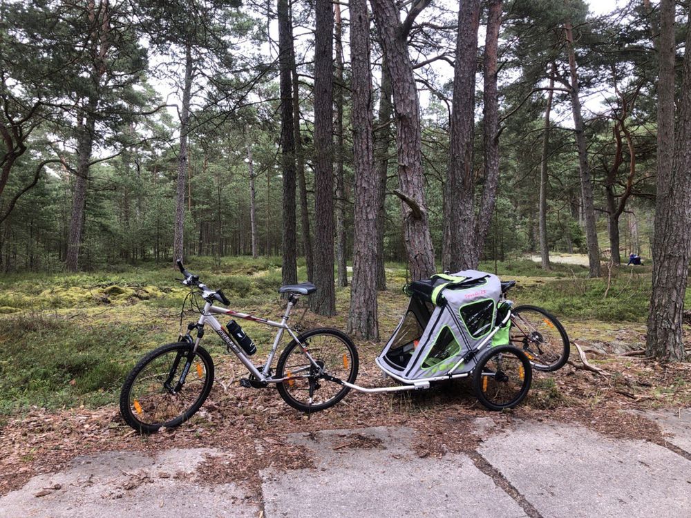 Przyczepka rowerowa QERIDOO Speedkid2