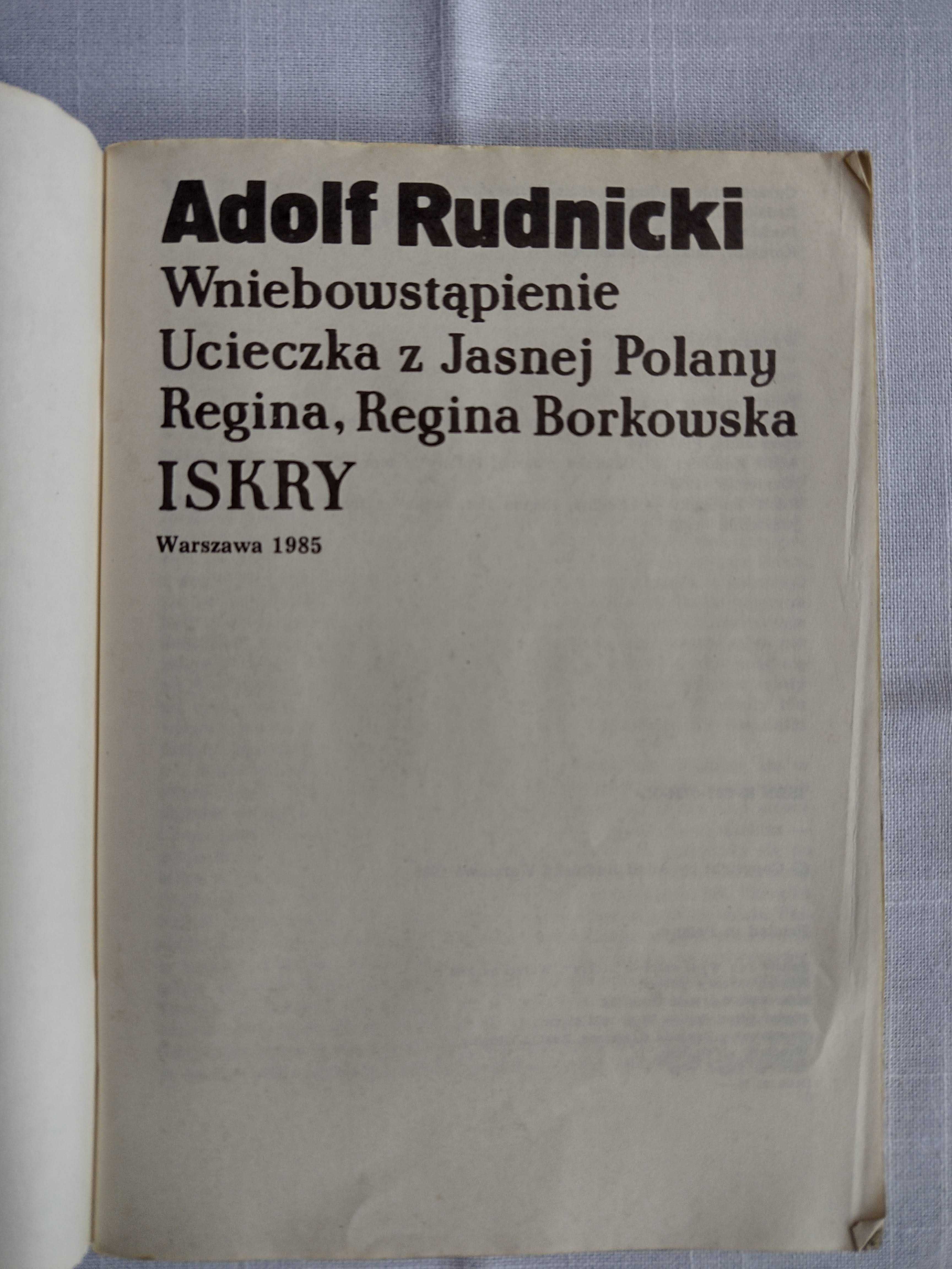 Adolf Rudnicki - Opowiadania PROMOCJA do 26.01.2024
