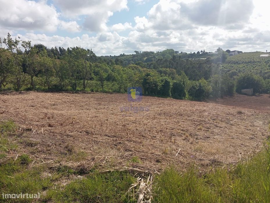 Terreno com 4.920m2, com PDM de Construção, em Zona Calma e com uma Ex