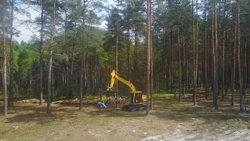 Подрібнення гілля, чистка ділянок, зрізання дерев, демонтаж будівель