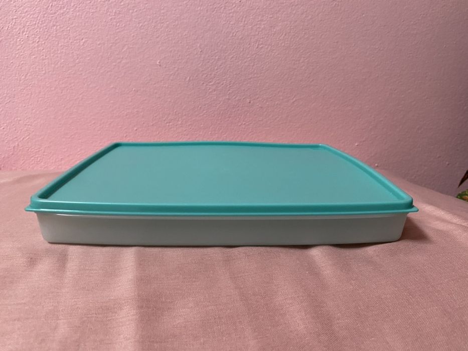 Tupperware para congelaçao rasa 24 x 29 (1.25 lt)