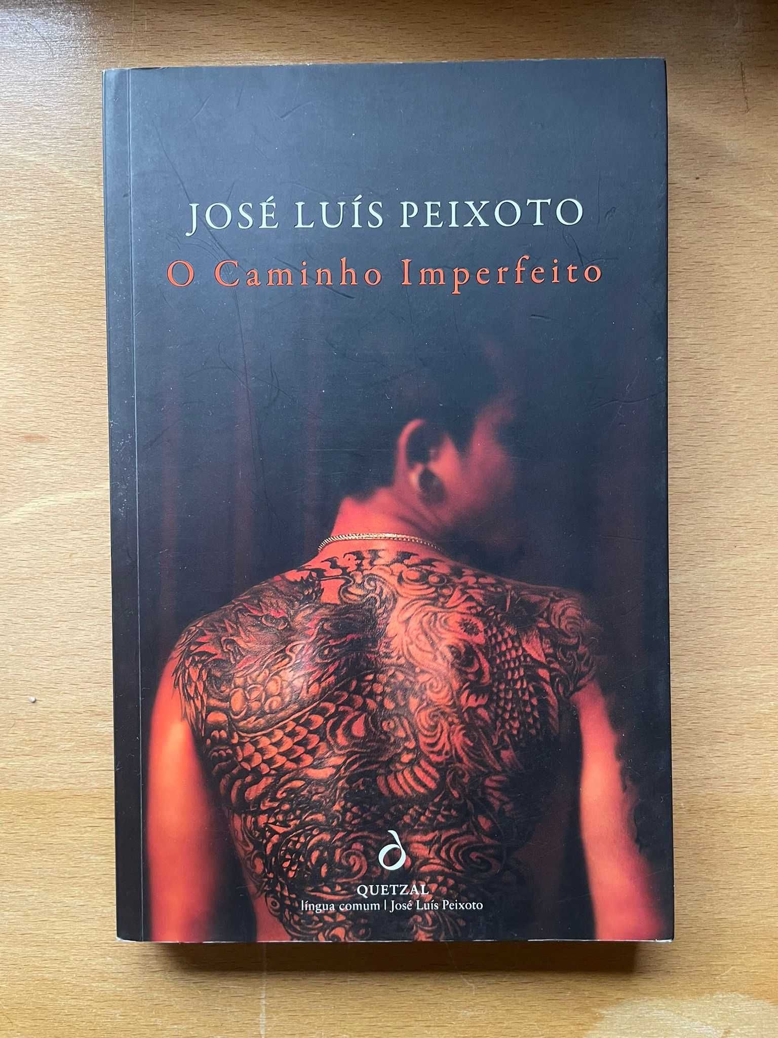Livro "O Caminho Imperfeito" - José Luís Peixoto