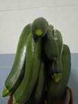 Vendo courgettes e pepinos
