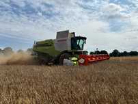 Claas Lexion 750 usługa koszenia zbóż rzepaku strączkowych