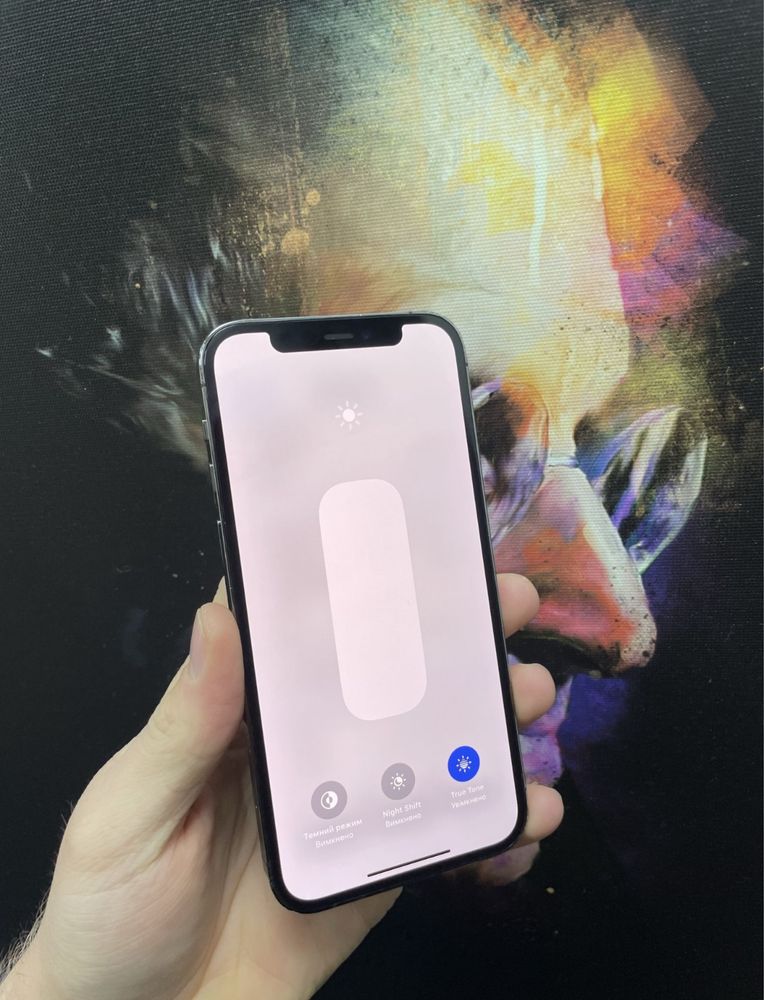 Apple Iphone 12 Pro Max 256 GB