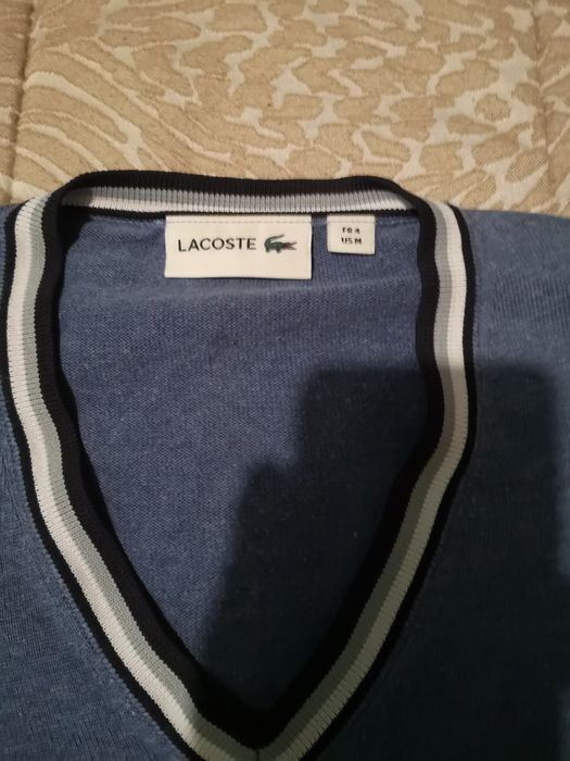 Sweatshirt / Sweat Lacoste