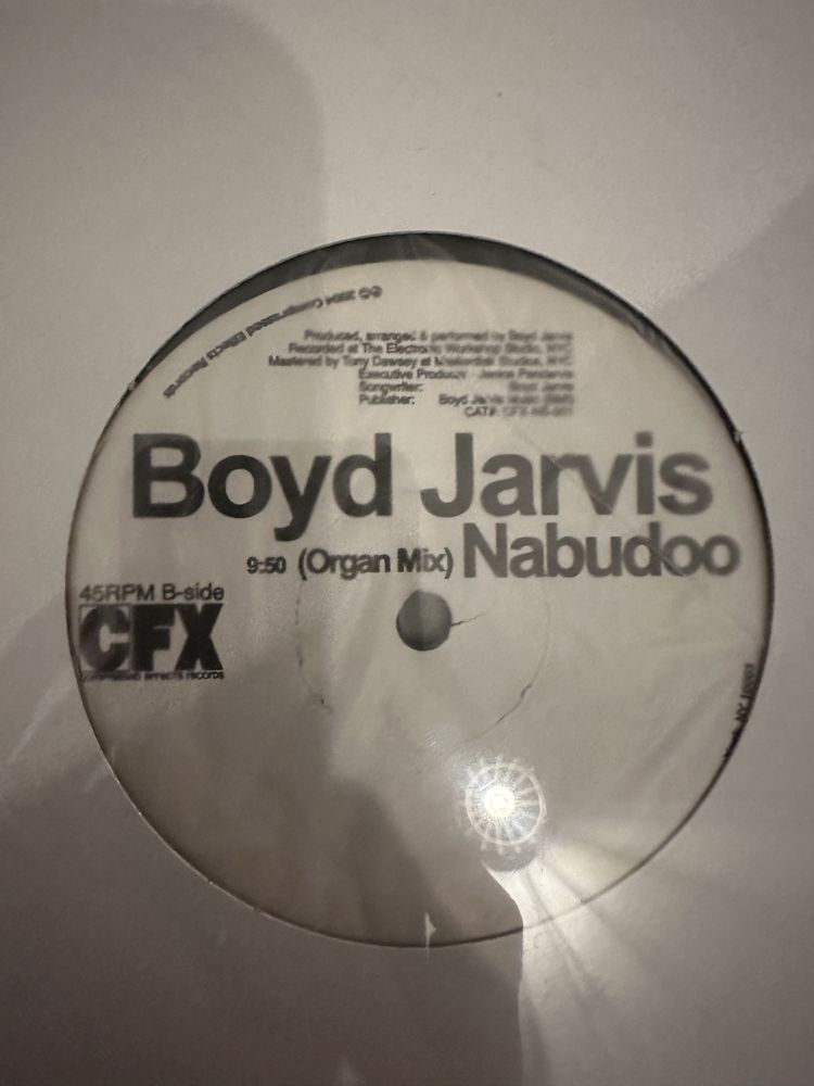 Boyd Jarvis Nabudoo winyl 12” - nowy, w folii MINT