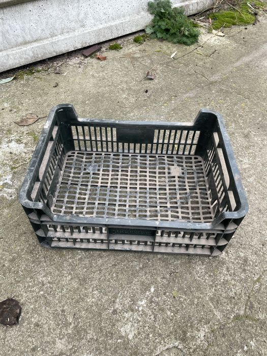 Skrzynki skrzynka plastikowe na warzywa owoce