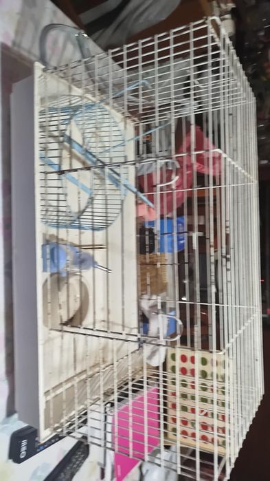 Gaiola para coelhos