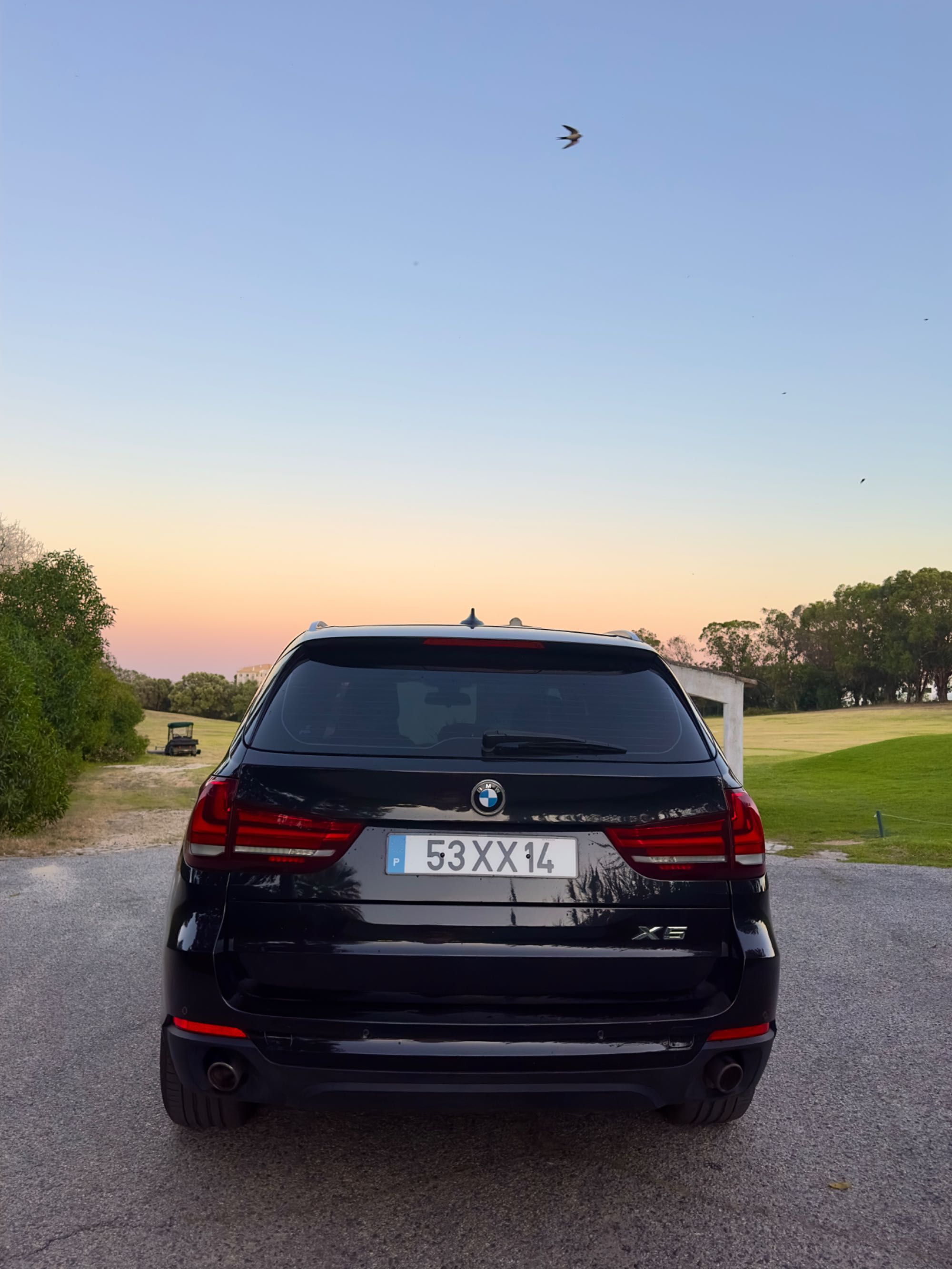 BMW X5 25d sDrive
