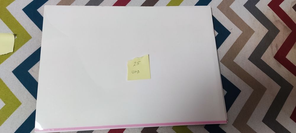 Bolsas para projecção de slides