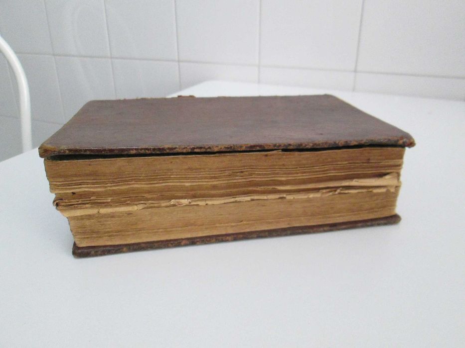 Dicionário Ilustrado da Língua Portuguesa de Henrique Brunswick