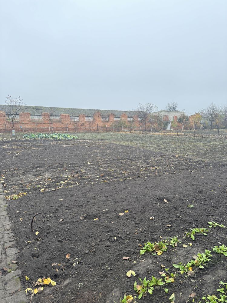 Продаж будинка в межах міста, Товстоліс