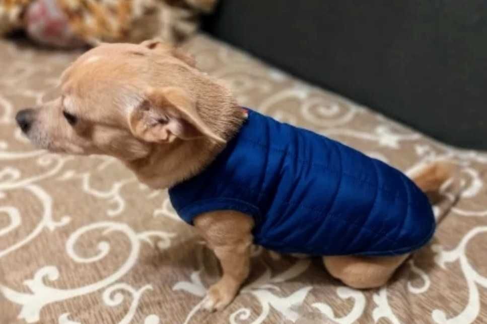 Ubranko ubranie zimowe dla psa kota . Sweter bluza kurtka