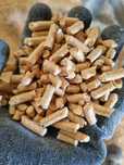 Pellet z czystych trocin iglastych