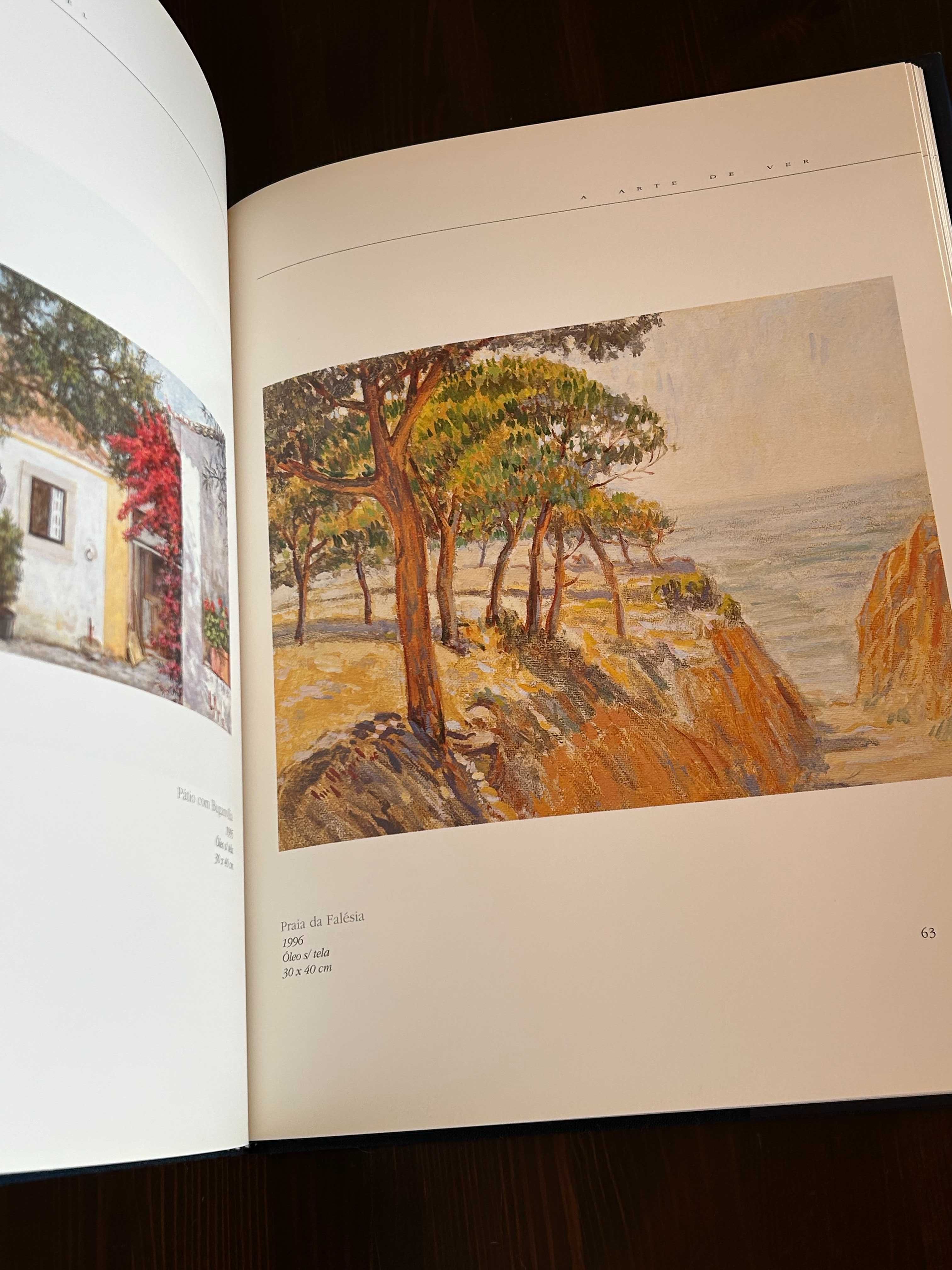 Livro a Arte de Ver