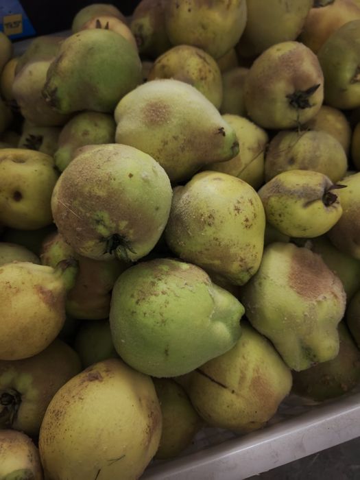 Pigwa gruszkowa z przydomowego sadu-Eko
