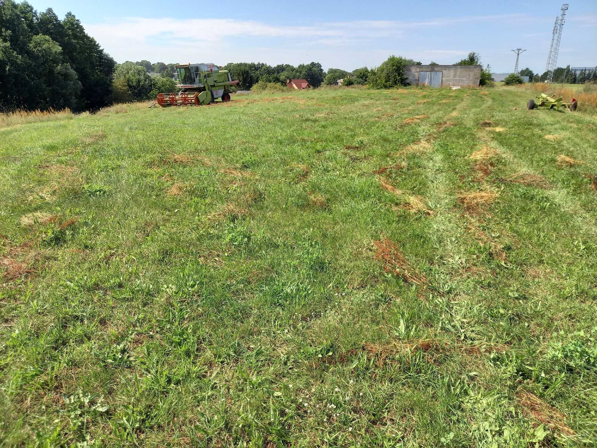 działka budowlana 1170/m2, Trzcianka do BRICO 500m