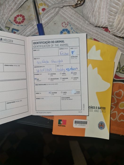 Menina linda com vacina