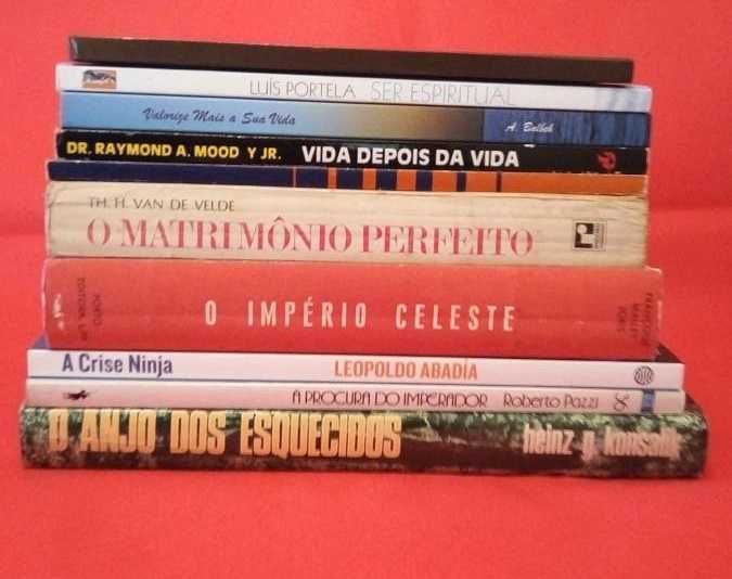 Lote livros de Literatura