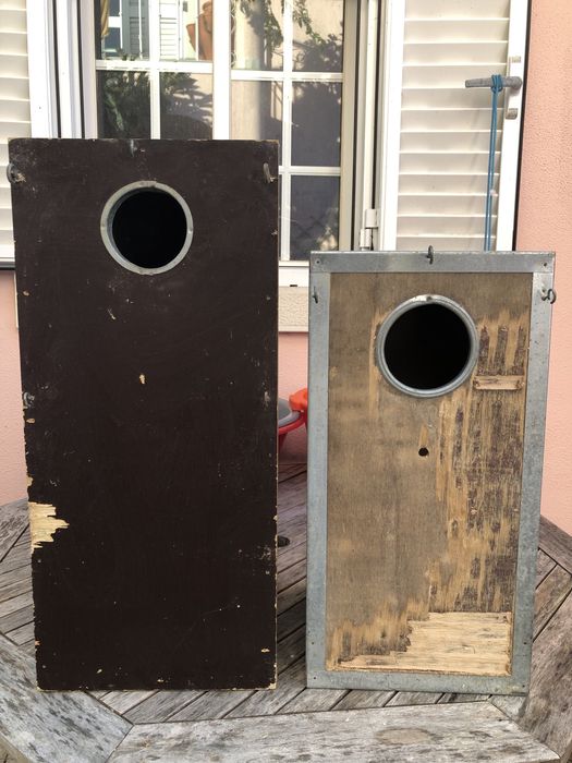 Ninho para Ring Necks