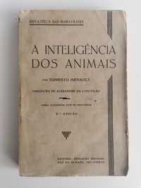 A Inteligência dos Animais