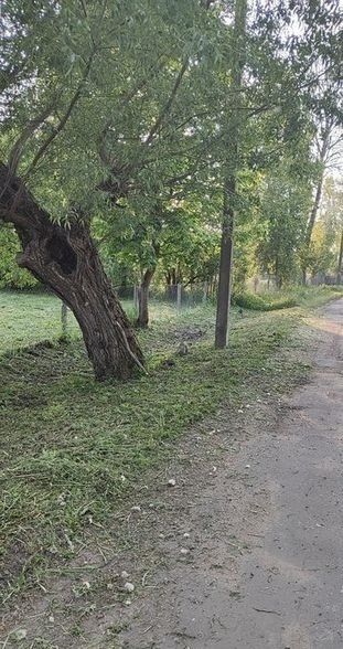 Послуги з прибирання території та догляд за садом Бучанський район