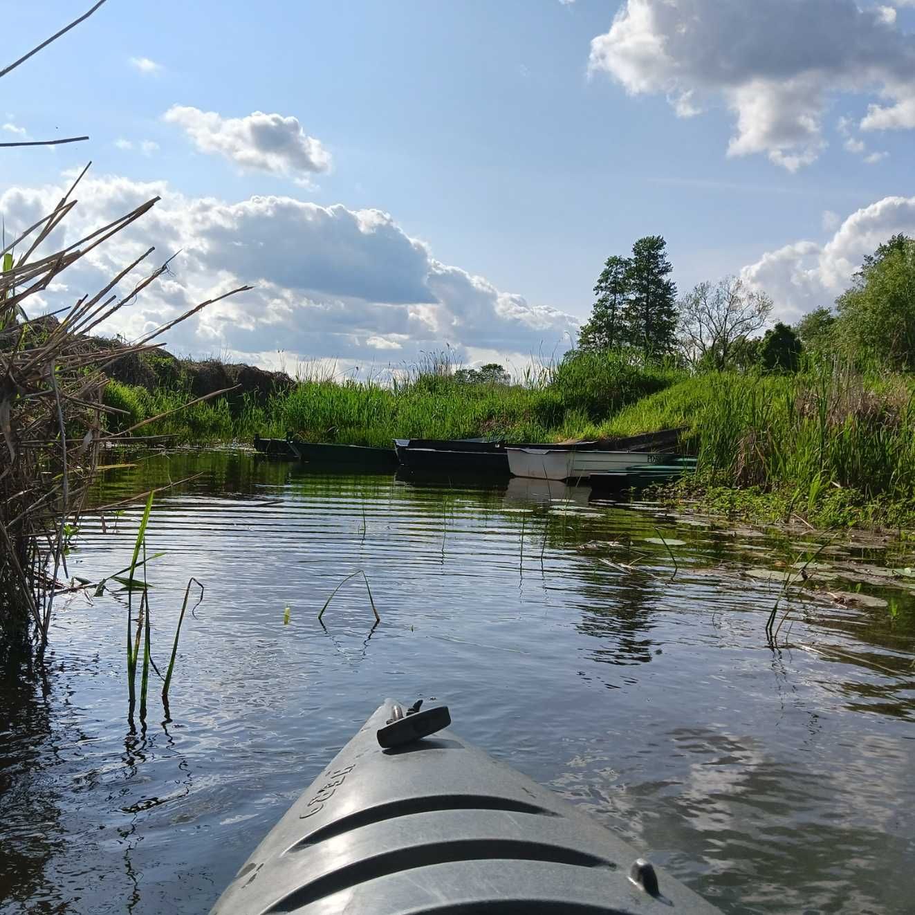 Wypożyczalnia kajaków, Spływy kajakowe rzeką Narew, Kajakiem po Narwi