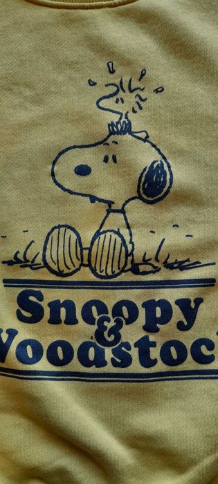 Sweatshirt Snoopy, Zara