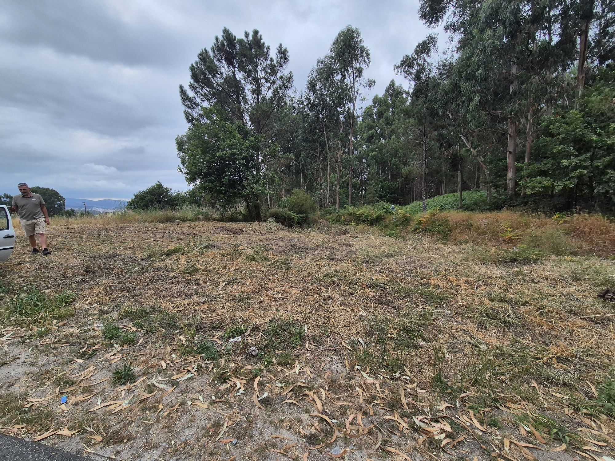 Terreno Rústico Construtivel