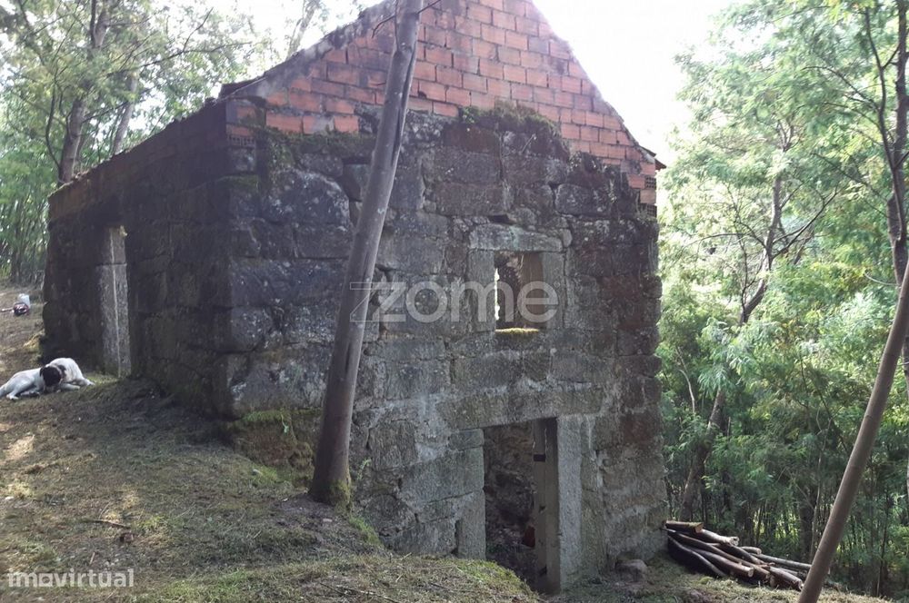 Quinta Junto ao rio Mondego