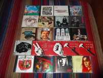 Lote de CDs: música portuguesa e brasileira