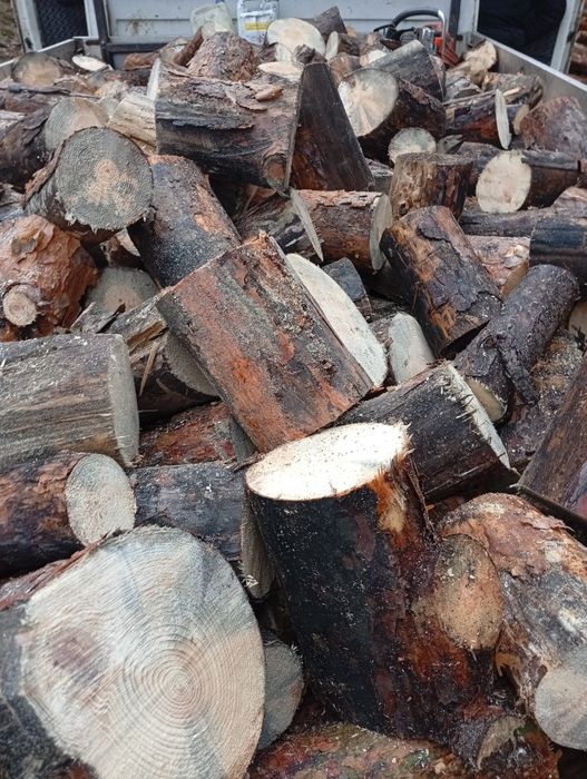 Drewno opałowe  sosna