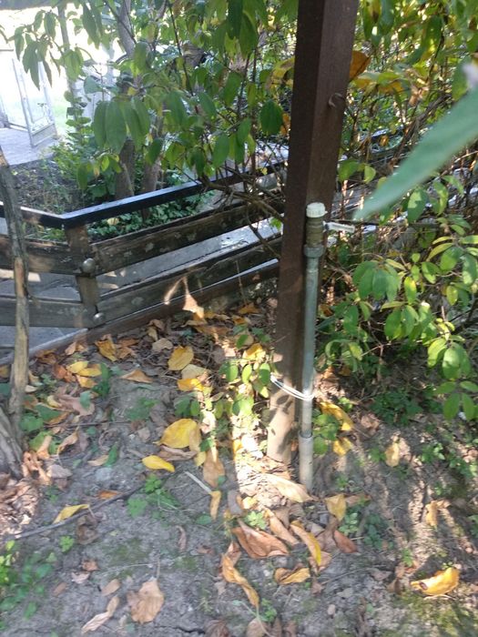 Будинок з земельною ділянкою 7 соток