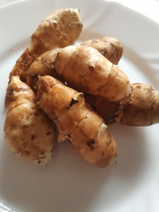 Topinambur, świeżo kopany 10 kg