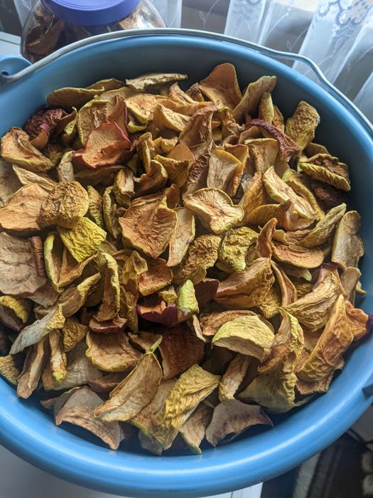 Сушка 2025 року.