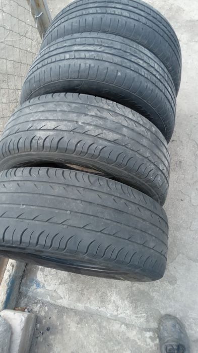 Шини (гума)літні