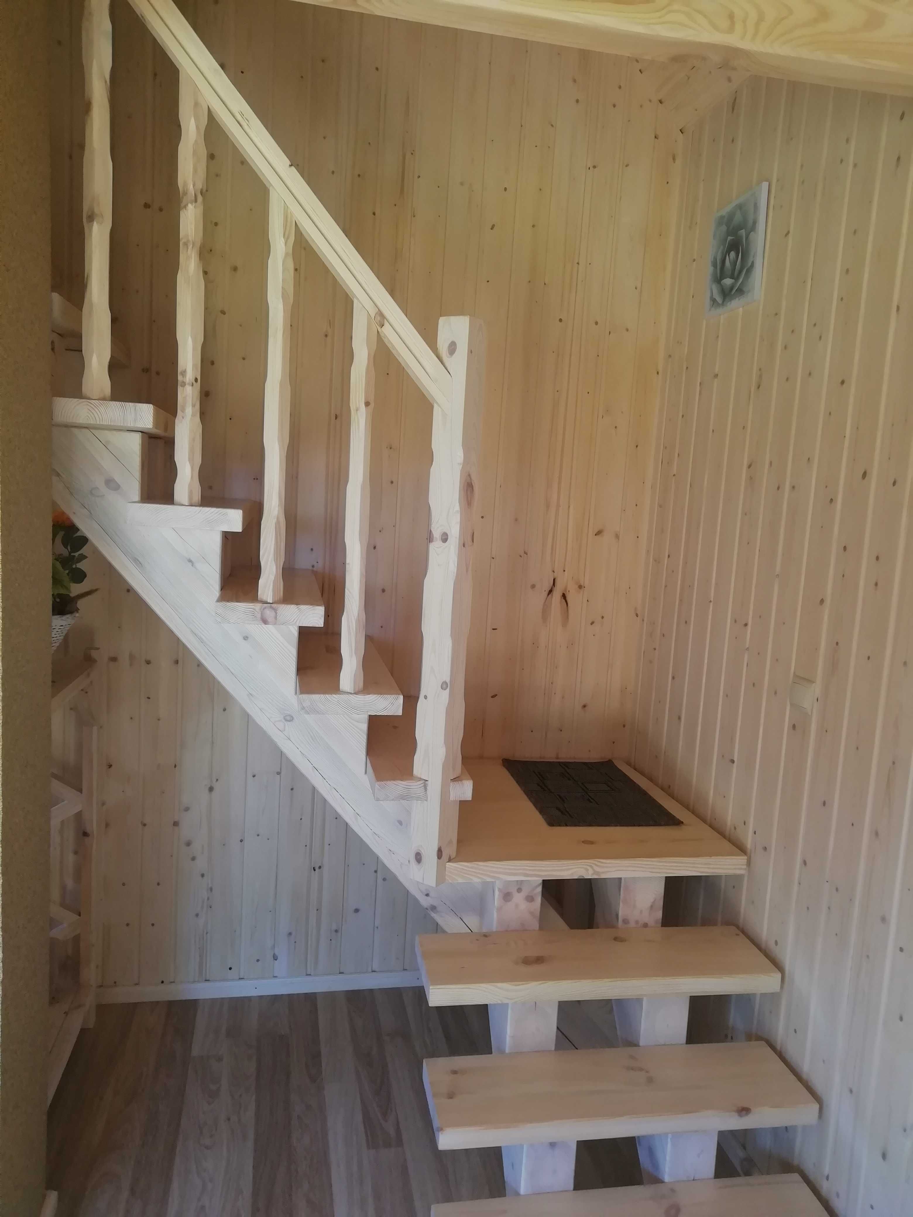 Domek nad jeziorem, Kaszuby, linia brzegowa, kominek, Zagroda Szarlota