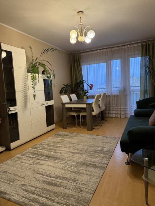 2-pokojowe mieszkanie z balkonem