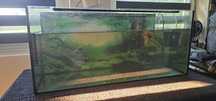 Akwarium 80x35x35