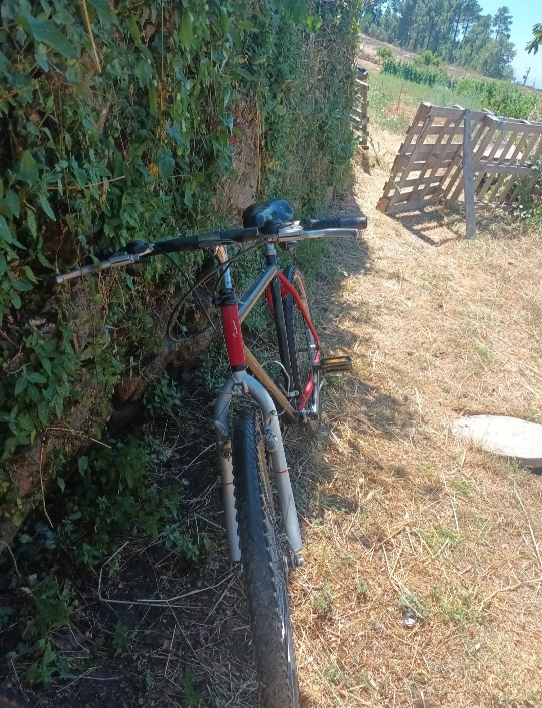 Bicicleta para venda