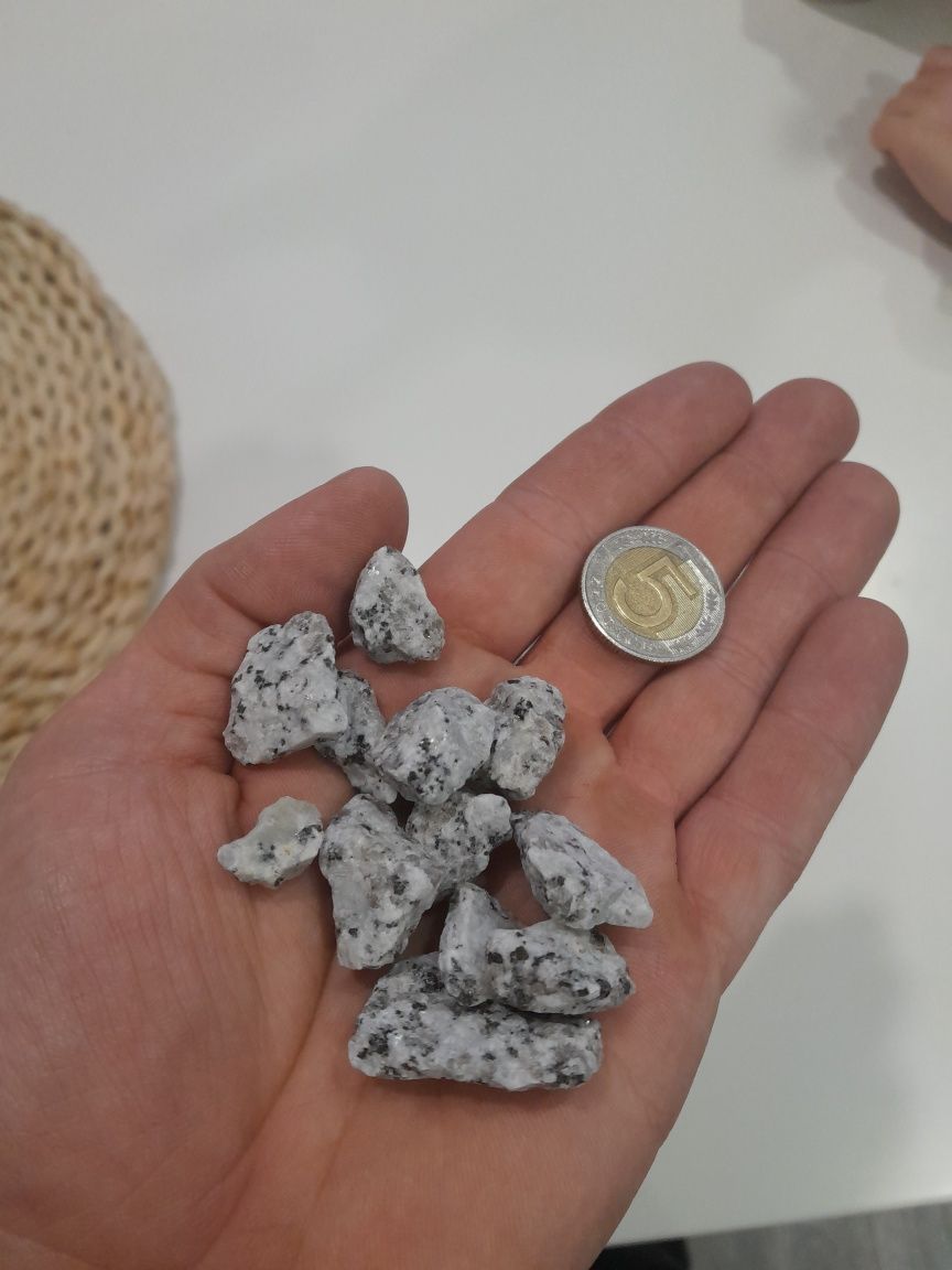 GRYS kamień dekoracyjny granit granitowy otoczak dalmatyńczyk. 25kg