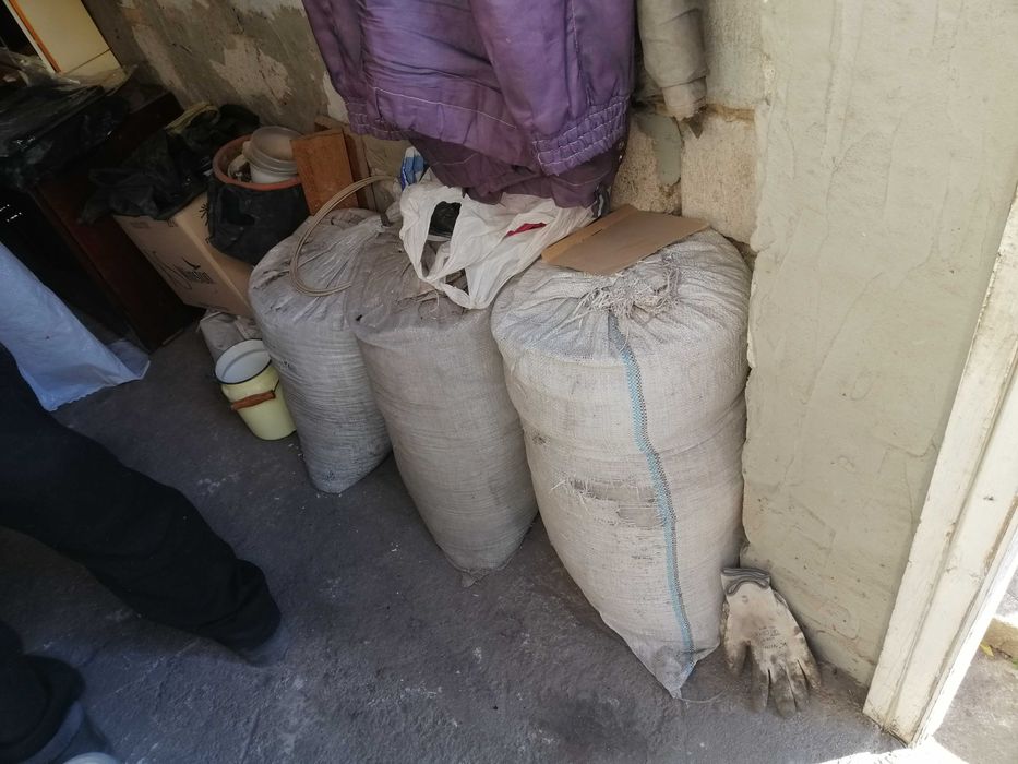 Угольная семечка