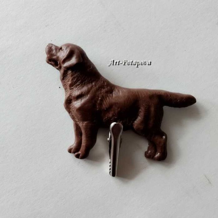 Чіхуа, Аффен пінчер, Бігль, Лабрадор, Голден, Ауссі