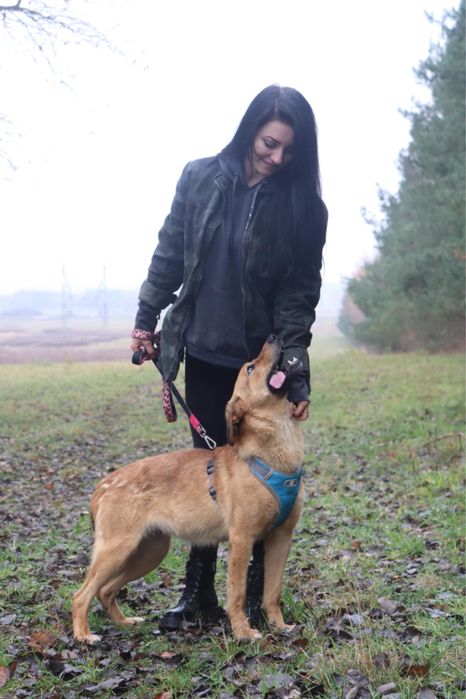 Tokyo wulkan pozytywnej energii szuka najlepszego domu