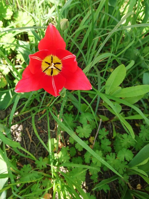 Дом в селе Стремигород