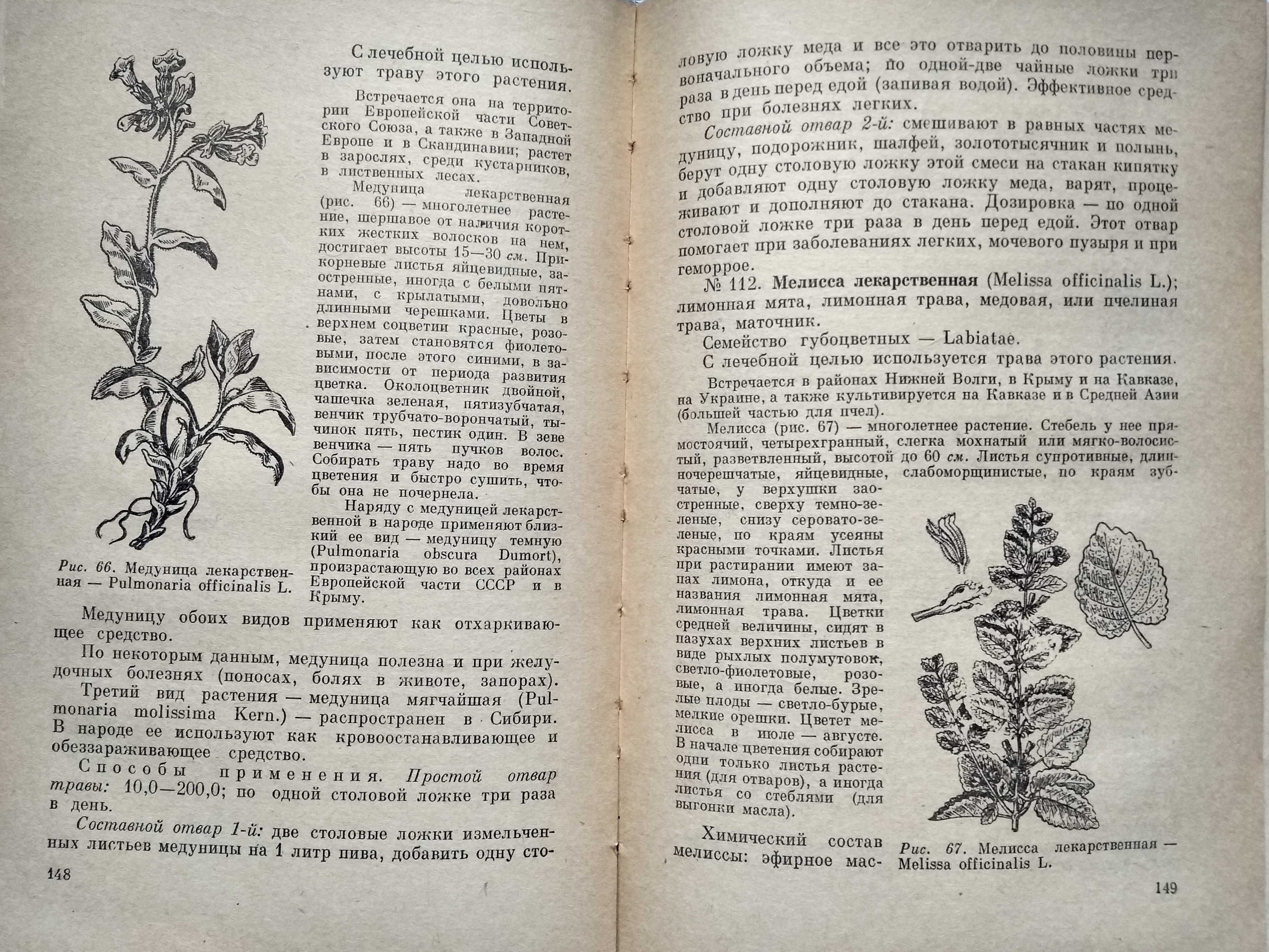 Попов А.П. Лекарственные растения в народной медицине