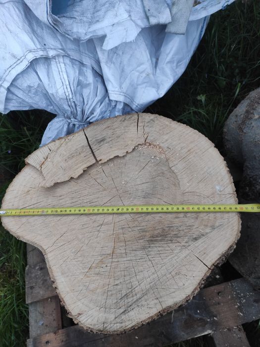 Pieniek, plaster, jesion